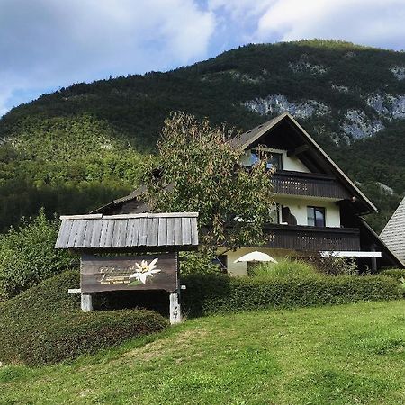 Charming And Cozy Apartment Sara Bohinj Eksteriør bilde